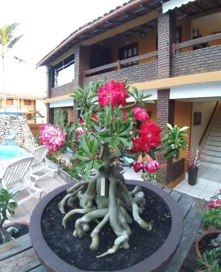 Pousada A Flor Da Terra Porto Seguro Zewnętrze zdjęcie